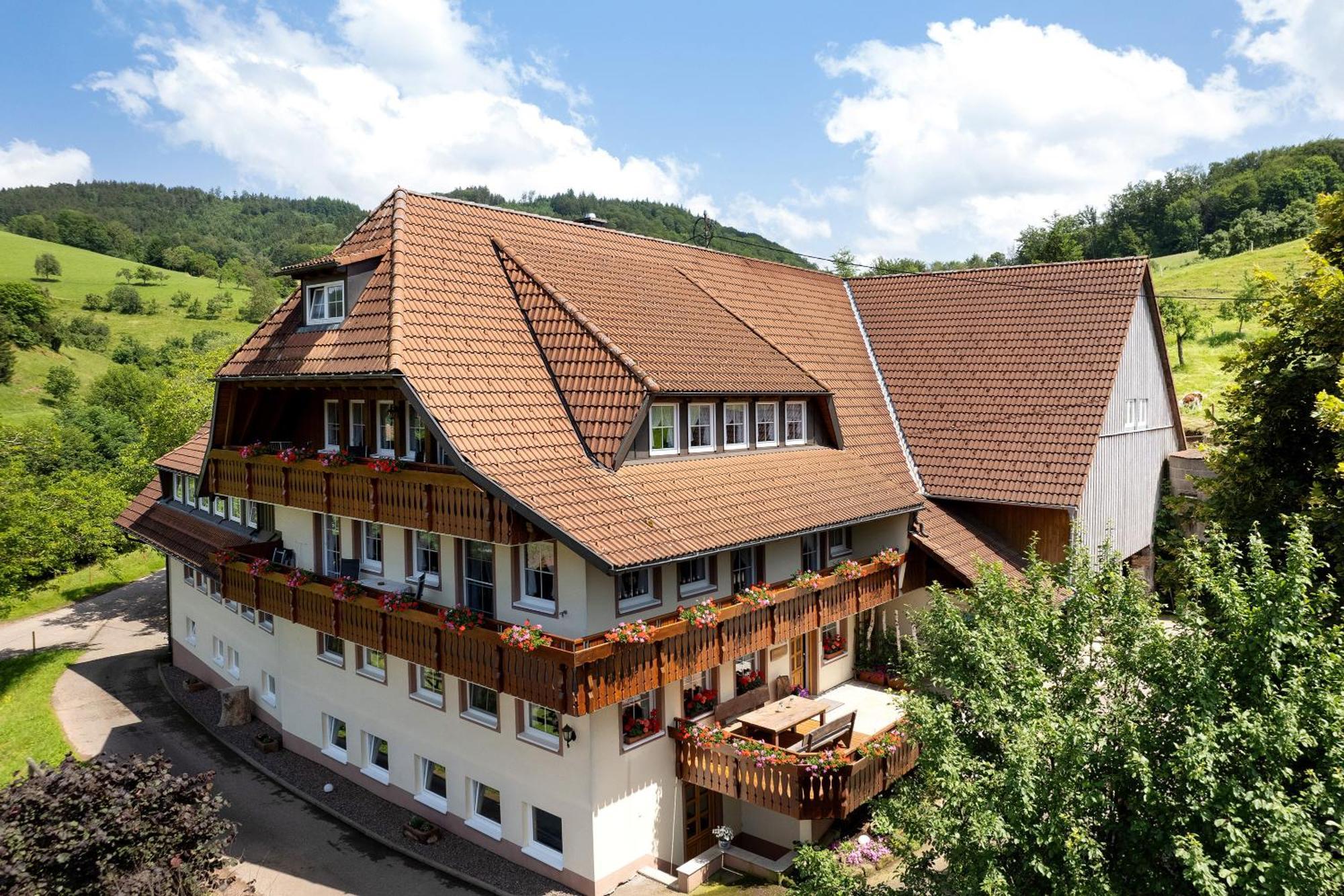 Danielenhof Apartment Freiamt Exterior photo