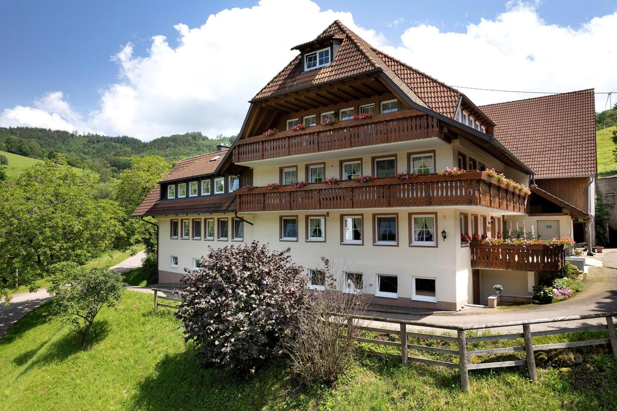 Danielenhof Apartment Freiamt Exterior photo